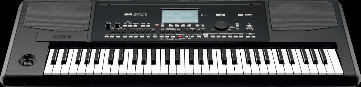 Korg PA 300