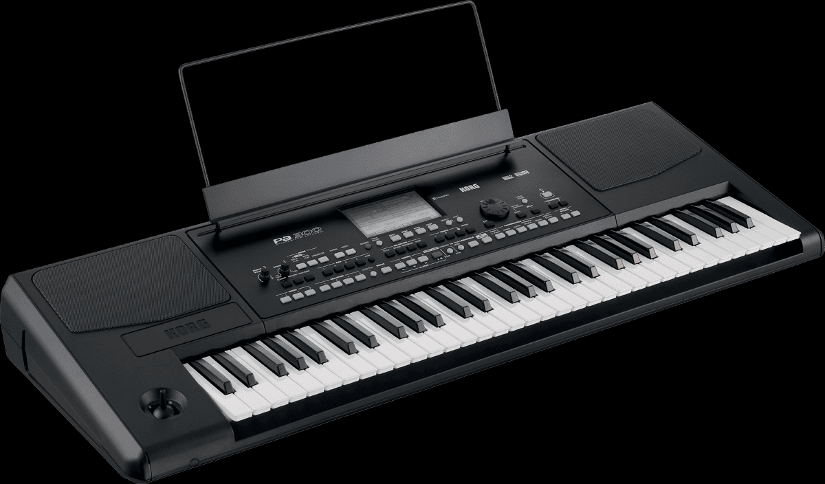 Korg PA 300