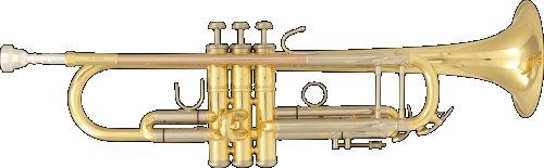 TP 500