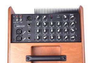 Acus One For string 6T Wood